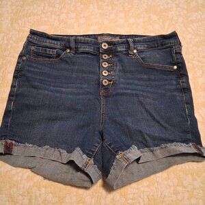 Women's Torrid shorts, Medium Blue, size 16